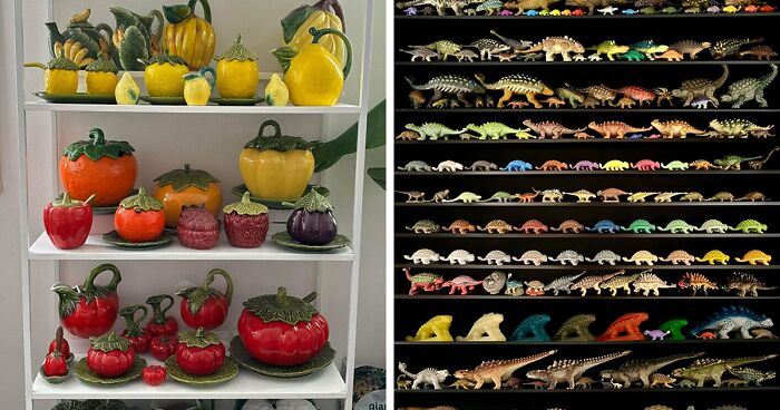 People Reveal The Things They Are So Obsessed With That It Grew Into A Collection (New Pics)