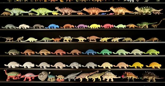 People Reveal The Things They Are So Obsessed With That It Grew Into A Collection (New Pics)