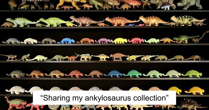 People Reveal The Things They Are So Obsessed With That It Grew Into A Collection (New Pics)