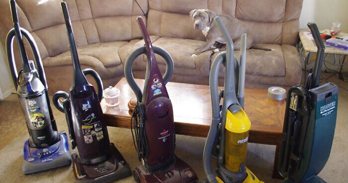 People Reveal The Things They Are So Obsessed With That It Grew Into A Collection (New Pics)