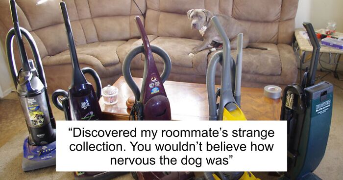 People Reveal The Things They Are So Obsessed With That It Grew Into A Collection (New Pics)