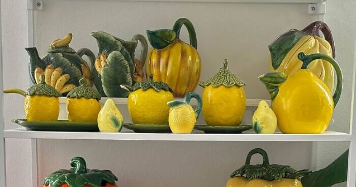 People Reveal The Things They Are So Obsessed With That It Grew Into A Collection (New Pics)