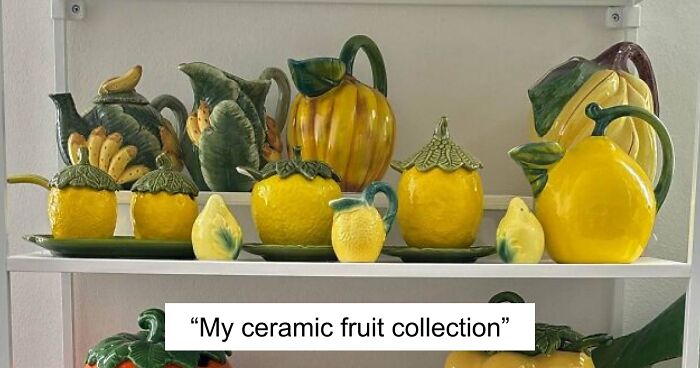 People Reveal The Things They Are So Obsessed With That It Grew Into A Collection (New Pics)