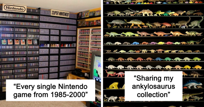 People Reveal The Things They Are So Obsessed With That It Grew Into A Collection (New Pics)
