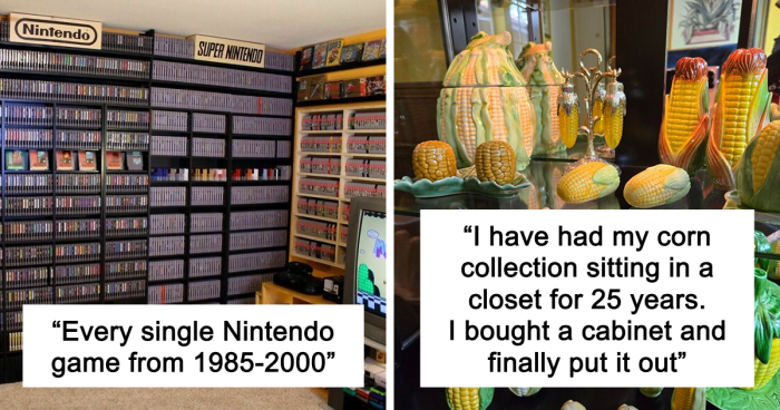 People Reveal The Things They Are So Obsessed With That It Grew Into A Collection (New Pics)