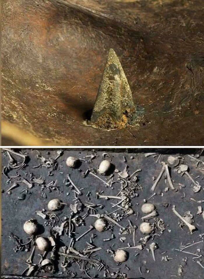 Strange Earth image showing a mysterious ancient stone structure and scattered small animal bones on a dark surface.