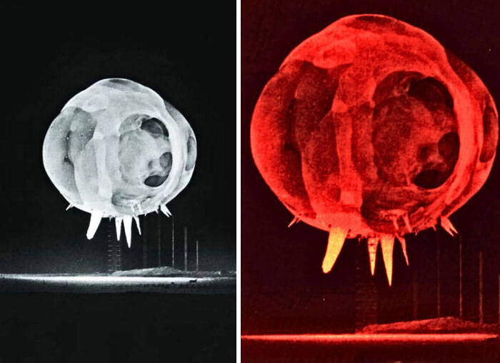 Side-by-side images of a strange earth phenomenon showing a large glowing spherical object with spikes hovering above the ground.