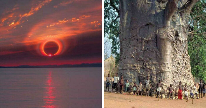 “Strange Earth”: 73 Things In Our World That Are Borderline Unbelievable (New Pics)