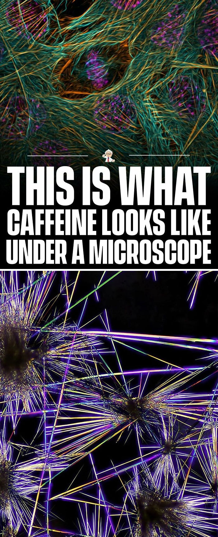 Colorful microscopic images showing caffeine crystal structures for wholesome and interesting facts and stories.