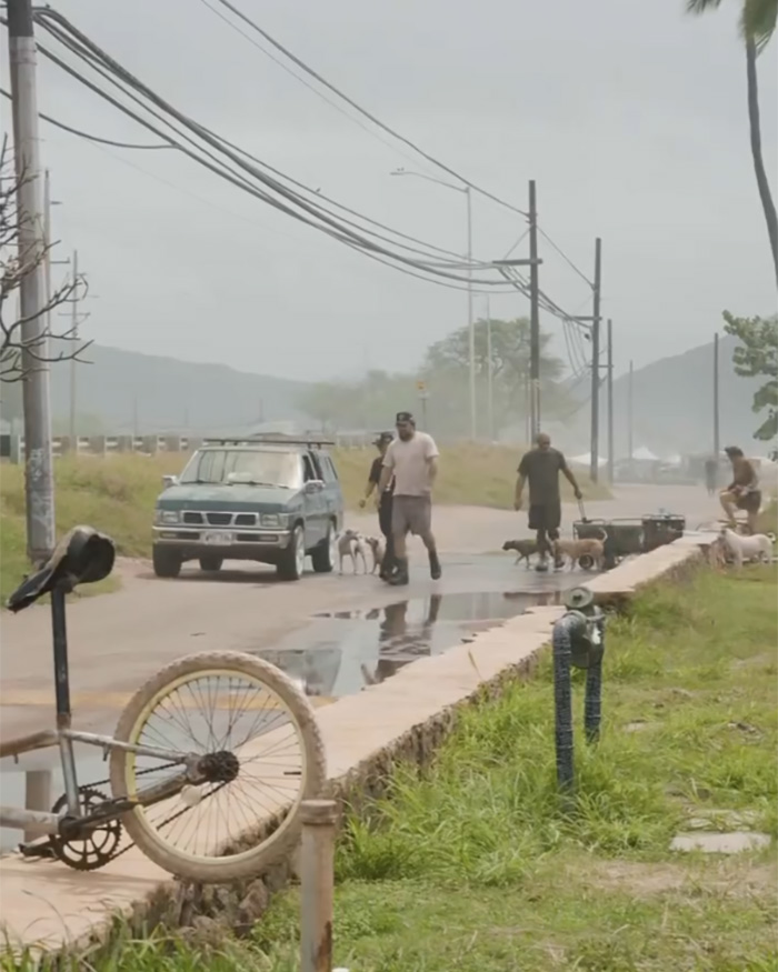 Pessoas passeando com cães perto de uma estrada inundada no Havaí, enquanto enchentes históricas provocam evacuações em massa.