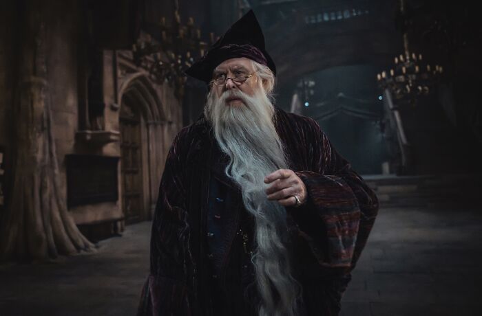 HBO&rsquo;s Harry Potter Series: Why Dumbledore, Hagrid, And More Hogwarts Staff Look So Familiar