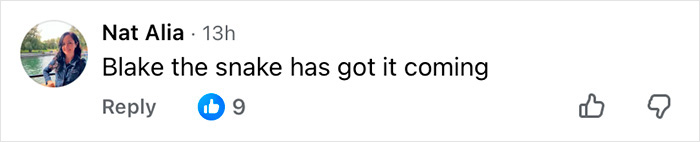 Comment on social media about Justin Baldoni’s legal battle with Blake Lively, calling Blake a snake.