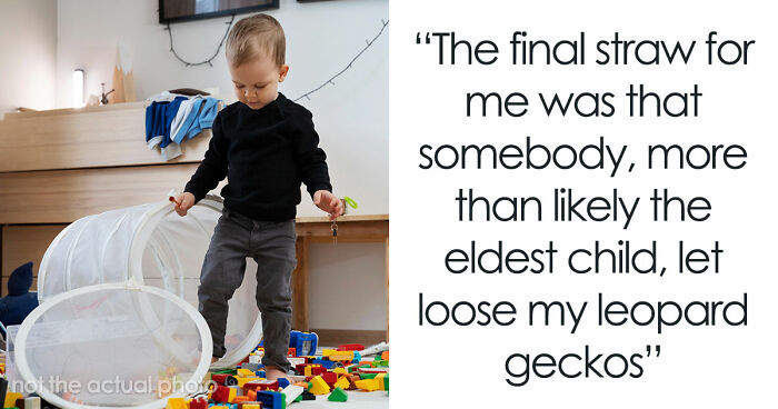 Night-Shift Worker Evicts Sister’s Fam When Kids Destroy His Home And Release His Geckos
