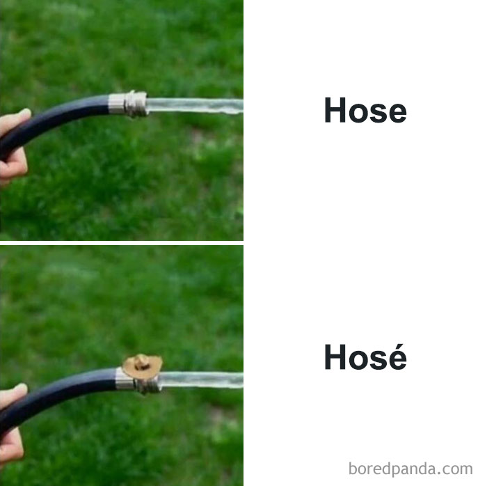 Funny meme comparing a garden hose and a hose with a tiny hat, entertaining meme for meme lovers.