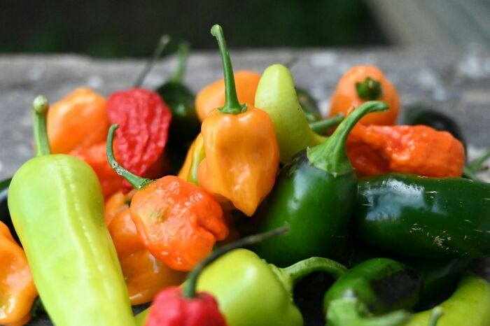 Various colorful hot peppers arranged together, illustrating a spicy and bold theme for payback stories.