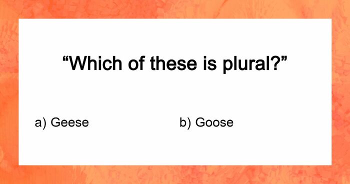 Spelling And Grammar Check: Take The Language Quiz Google Would Approve Of