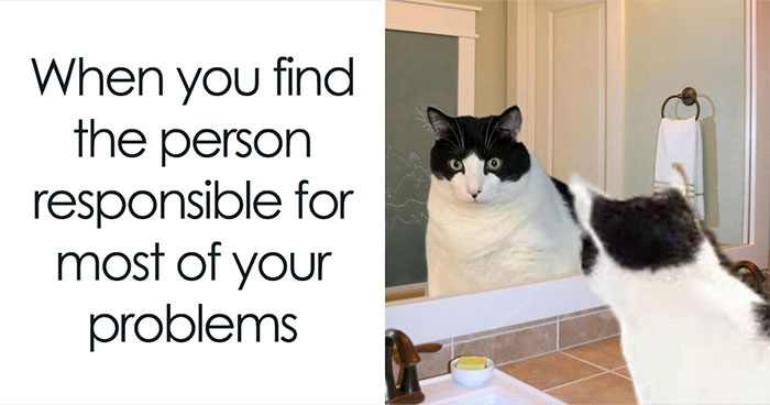 If You Love Chaotic Cat Humor, These 51 Poorly Made Cat Memes Might Be For You