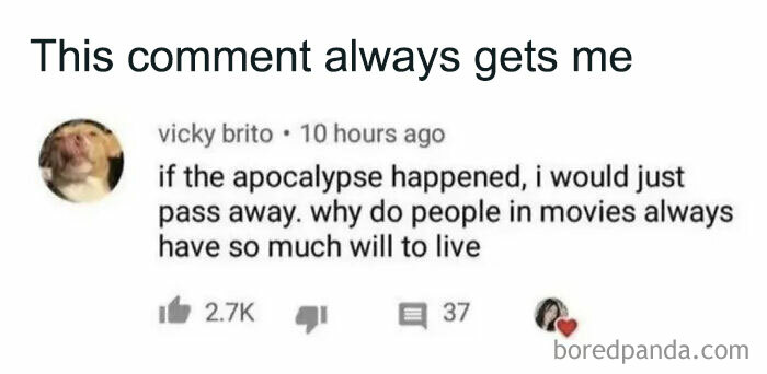 Screenshot of a funny and relatable meme about the apocalypse, illustrating humorous thoughts on will to live.