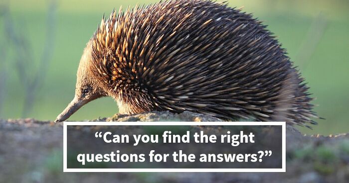 In This 27-Question Quiz, We Give You The Answers, And It’s Your Job To Ask The Right Questions