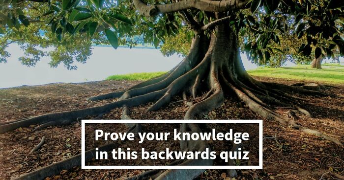 In This 27-Question Quiz, We Give You The Answers, And It’s Your Job To Ask The Right Questions
