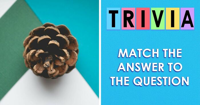 In This 27-Question Quiz, We Give You The Answers, And It’s Your Job To Ask The Right Questions