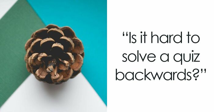 In This 27-Question Quiz, We Give You The Answers, And It’s Your Job To Ask The Right Questions