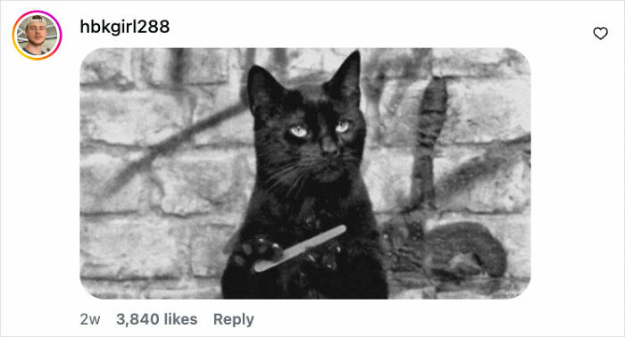 Black cat holding wand in front of stone wall, reflecting Sabrina the Teenage Witch theme from Melissa Joan Hart tribute.