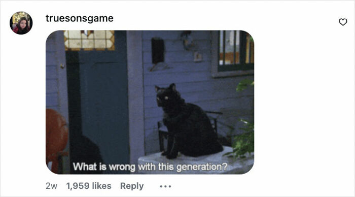 Black cat sitting on a doorstep at night with text overlay questioning what is wrong with this generation.