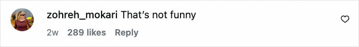Screenshot of an Instagram comment by user zohreh_mokari saying That&rsquo;s not funny with 289 likes.