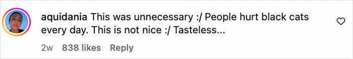 Instagram comment by aquidania expressing concern about people hurting black cats and describing it as tasteless.