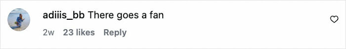 Comment on social media from a user named adiiis_bb stating There goes a fan with 23 likes.