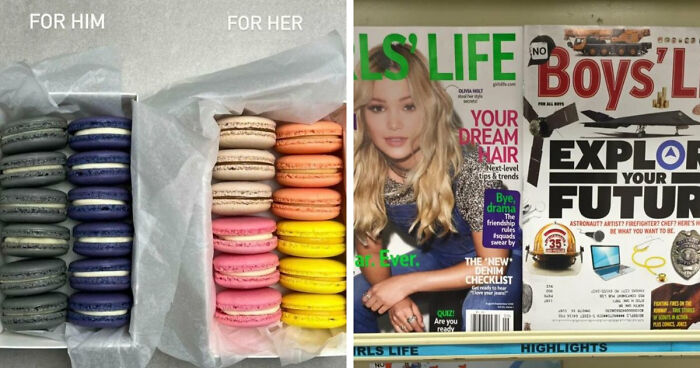 “These Are Exactly The Same”: 53 Products So Aggressively Gendered They Look Like A Joke (New Pics)