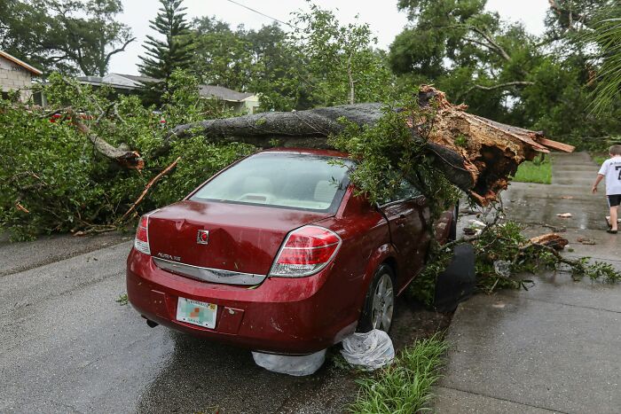 Red car crushed by fallen tree on road, illustrating horrific emergency situations medical staff encounter in the ER.