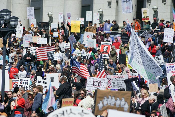 Large crowd at a protest holding signs and flags, representing truths that have sadly vanished from people’s home countries.