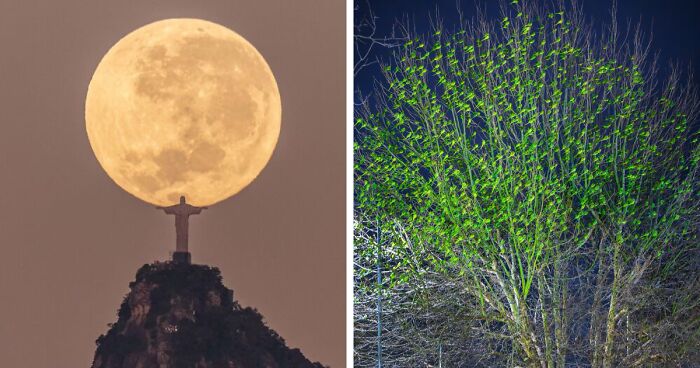 49 Unreal Photos That Prove Our “Boring” Reality Is Actually Pretty Incredible (New Pics)