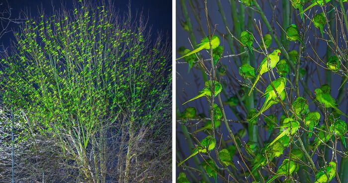 49 Unreal Photos That Prove Our “Boring” Reality Is Actually Pretty Incredible (New Pics)