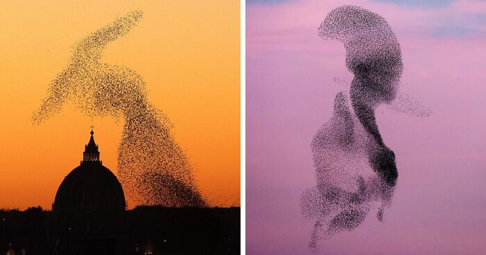 49 Unreal Photos That Prove Our “Boring” Reality Is Actually Pretty Incredible (New Pics)