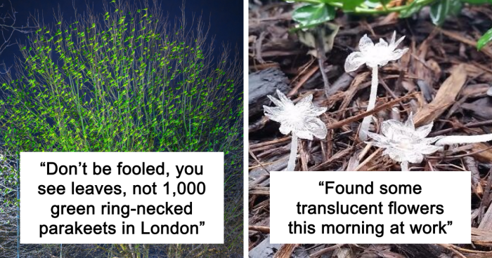49 Unreal Photos That Prove Our “Boring” Reality Is Actually Pretty Incredible (New Pics)