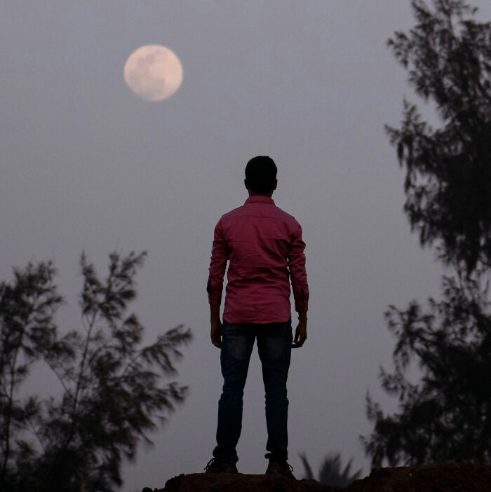 Man standing on a hill looking at the full moon in the sky surrounded by trees, illustrating things people said seriously.