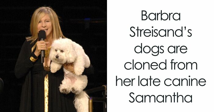 Cheater Hides One Night Stand From BF, Friend Threatens To Expose Her, Finds Out A Horrible Secret