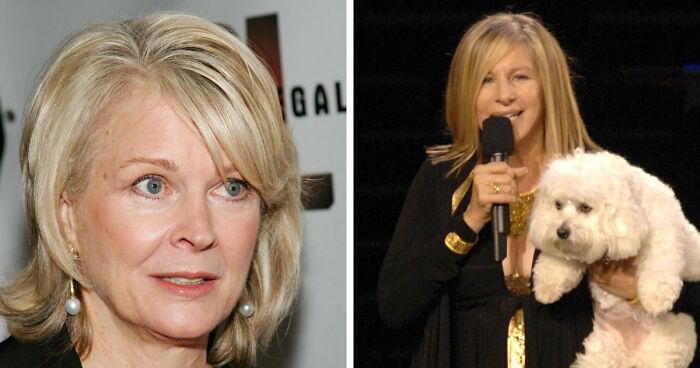 People Reveal The Things They Are So Obsessed With That It Grew Into A Collection (New Pics)