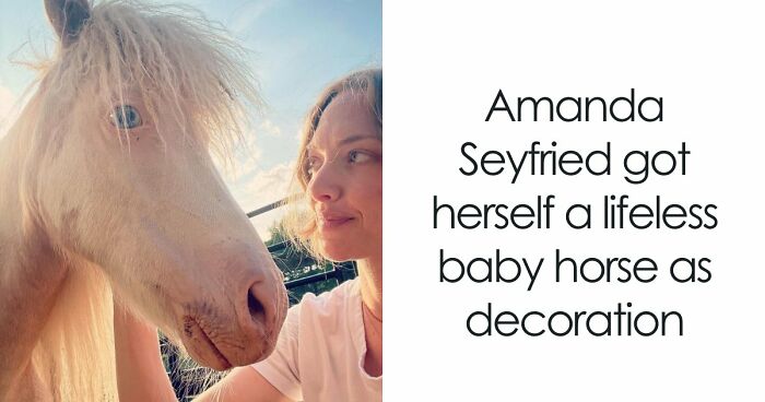 People Reveal The Things They Are So Obsessed With That It Grew Into A Collection (New Pics)