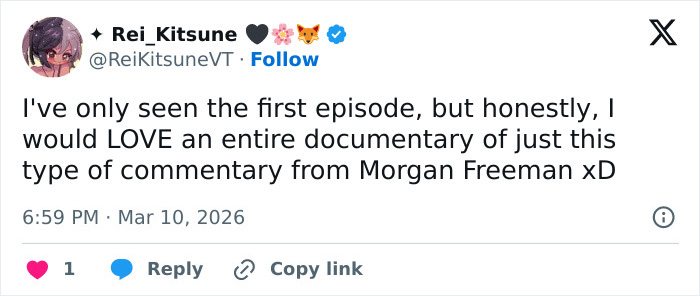 Tweet praising Morgan Freeman's commentary in a dinosaur show, expressing desire for a full documentary featuring his voice.
