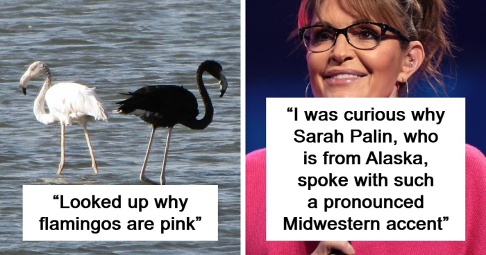 39 People Share The Most Interesting Rabbit Holes They’ve Ever Been Down