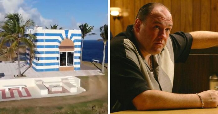 39 People Share The Most Interesting Rabbit Holes They’ve Ever Been Down