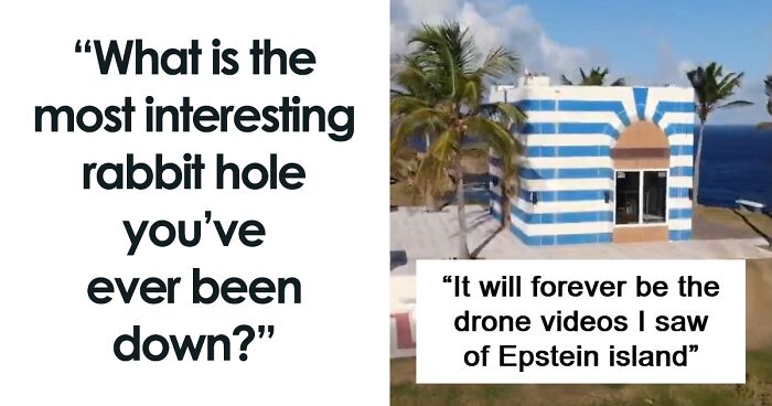 39 People Share The Most Interesting Rabbit Holes They’ve Ever Been Down