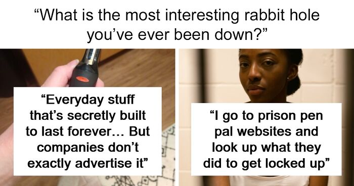 39 Rabbit Holes So Good People Lost Track Of Time