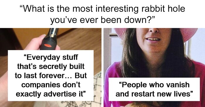 39 Rabbit Holes So Good People Lost Track Of Time