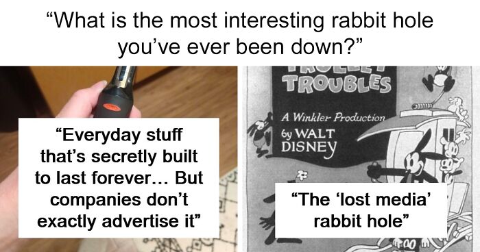 39 Rabbit Holes So Good People Lost Track Of Time