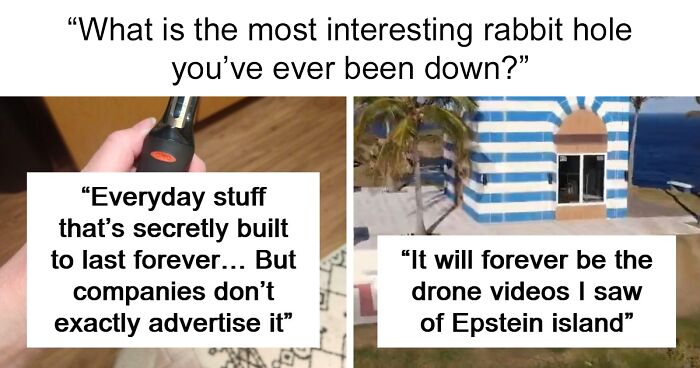 39 People Share The Most Interesting Rabbit Holes They’ve Ever Been Down